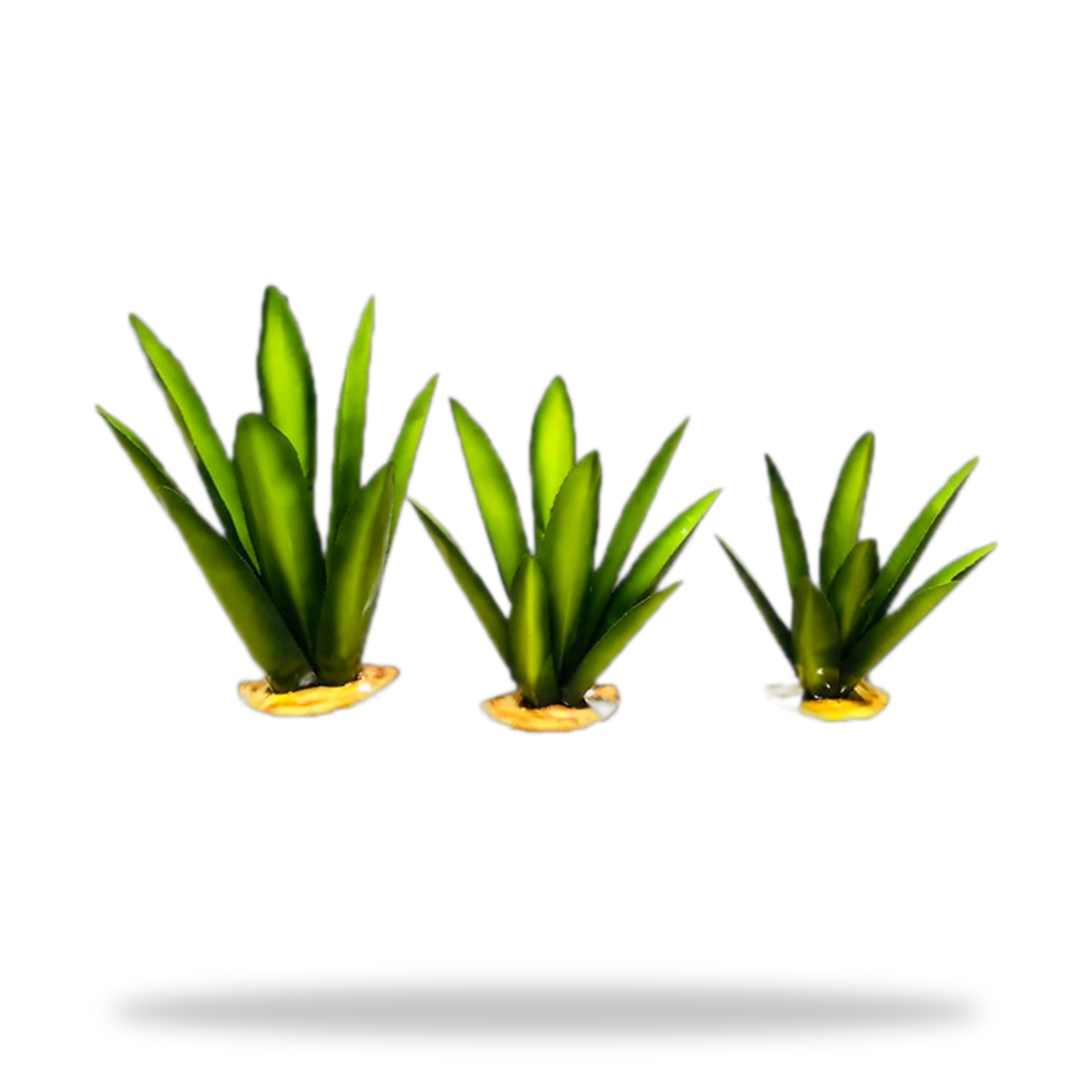 Agaves de laton miniatura